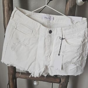 Judy Blue White Distressed Jean Shorts